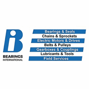 bearings (1)